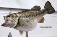 Largemouth Bass Replica 28"x18lbs.